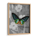 En La Pantalla I - James Burghardt | Cuadro decorativo de Canvas Lab