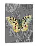 En La Pantalla Ii - James Burghardt | Cuadro decorativo de Canvas Lab