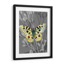 En La Pantalla Ii - James Burghardt | Cuadro decorativo de Canvas Lab