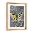 En La Pantalla Ii - James Burghardt | Cuadro decorativo de Canvas Lab