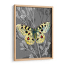 En La Pantalla Ii - James Burghardt | Cuadro decorativo de Canvas Lab