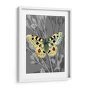 En La Pantalla Ii - James Burghardt | Cuadro decorativo de Canvas Lab