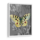 En La Pantalla Ii - James Burghardt | Cuadro decorativo de Canvas Lab