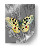 En La Pantalla Ii - James Burghardt | Cuadro decorativo de Canvas Lab