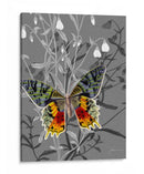 En La Pantalla Iv - James Burghardt | Cuadro decorativo de Canvas Lab