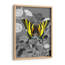 En La Pantalla V - James Burghardt | Cuadro decorativo de Canvas Lab