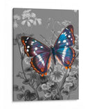 En La Pantalla Vi - James Burghardt | Cuadro decorativo de Canvas Lab