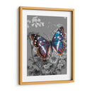 En La Pantalla Vi - James Burghardt | Cuadro decorativo de Canvas Lab