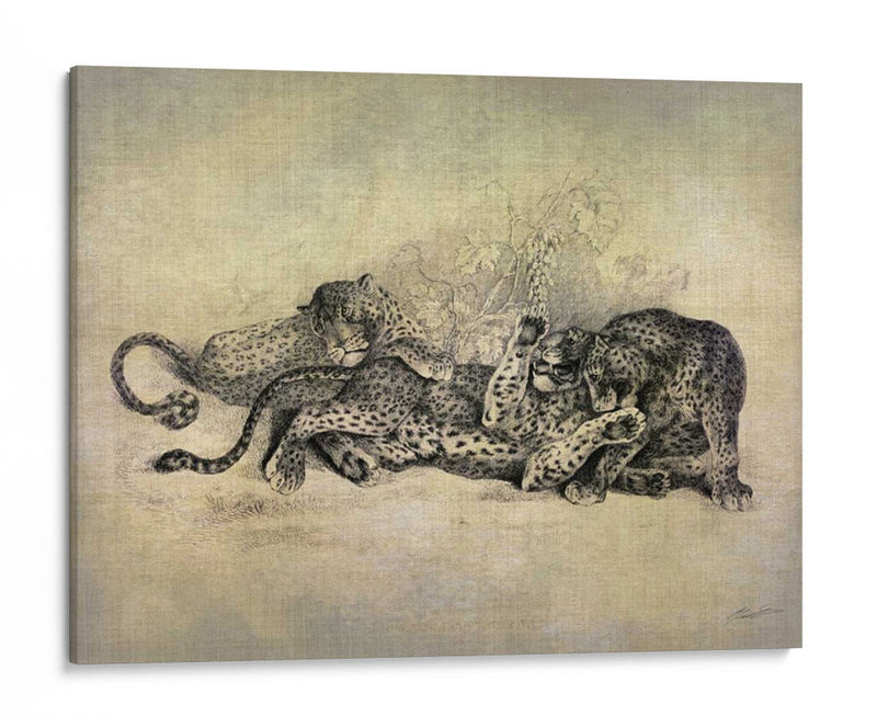 Gatos Grandes I - John Butler | Cuadro decorativo de Canvas Lab