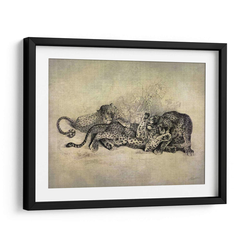 Gatos Grandes I - John Butler | Cuadro decorativo de Canvas Lab