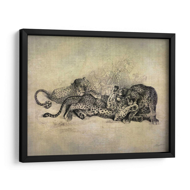 Gatos Grandes I - John Butler | Cuadro decorativo de Canvas Lab