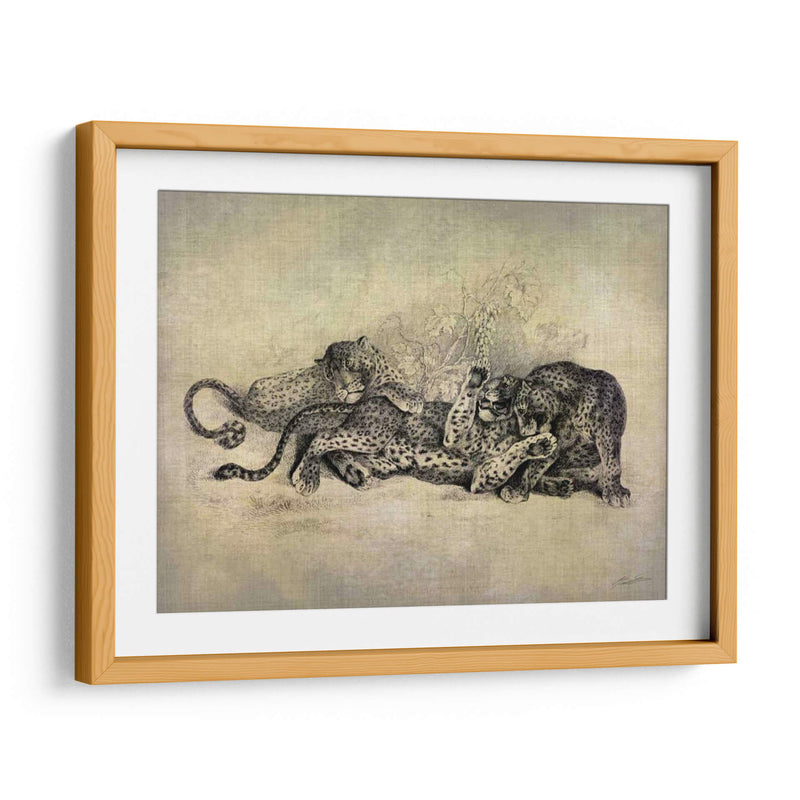 Gatos Grandes I - John Butler | Cuadro decorativo de Canvas Lab