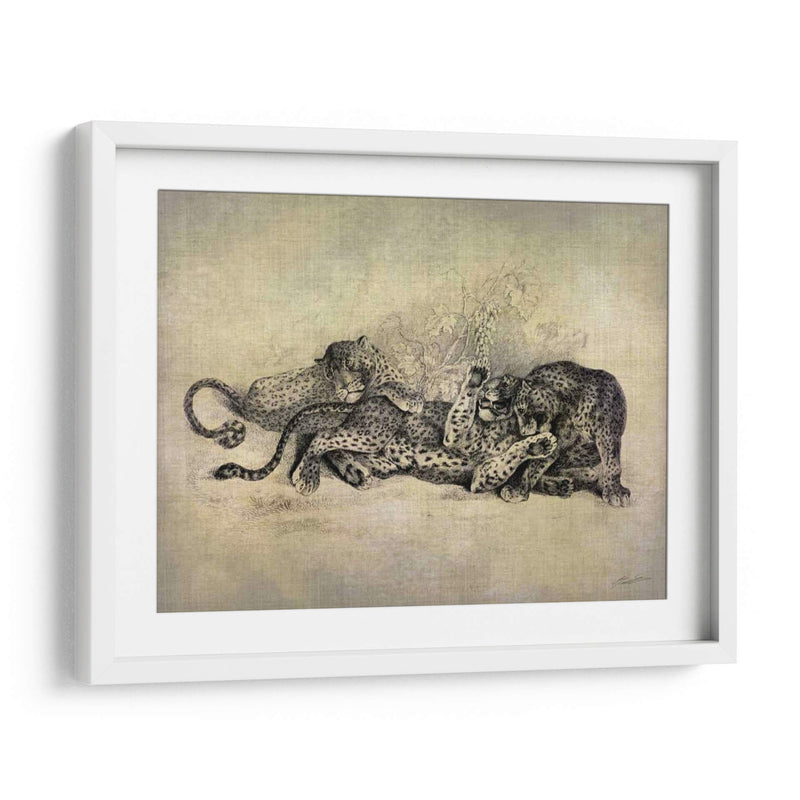 Gatos Grandes I - John Butler | Cuadro decorativo de Canvas Lab