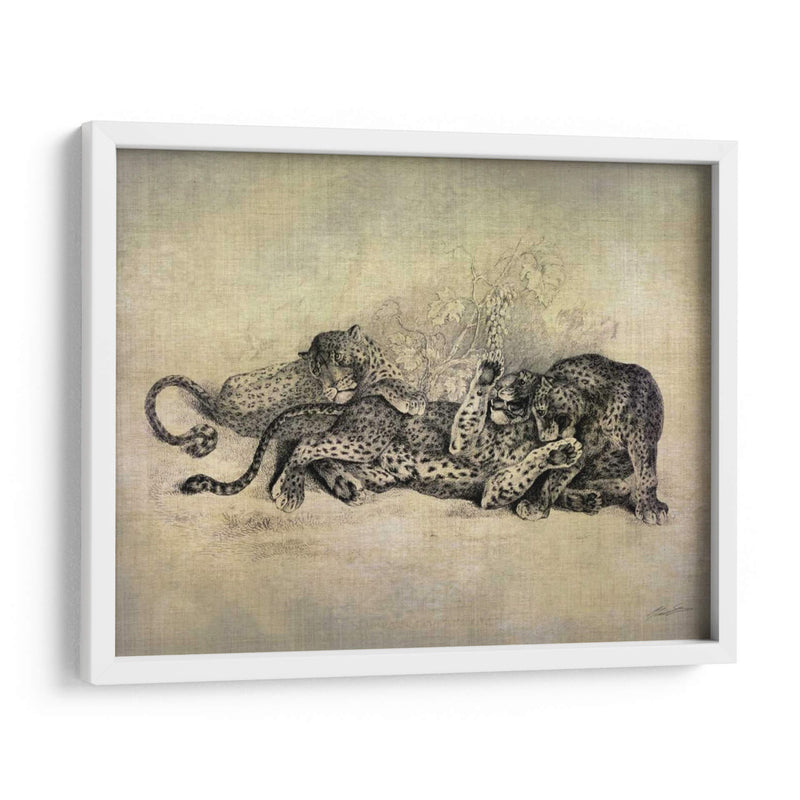 Gatos Grandes I - John Butler | Cuadro decorativo de Canvas Lab