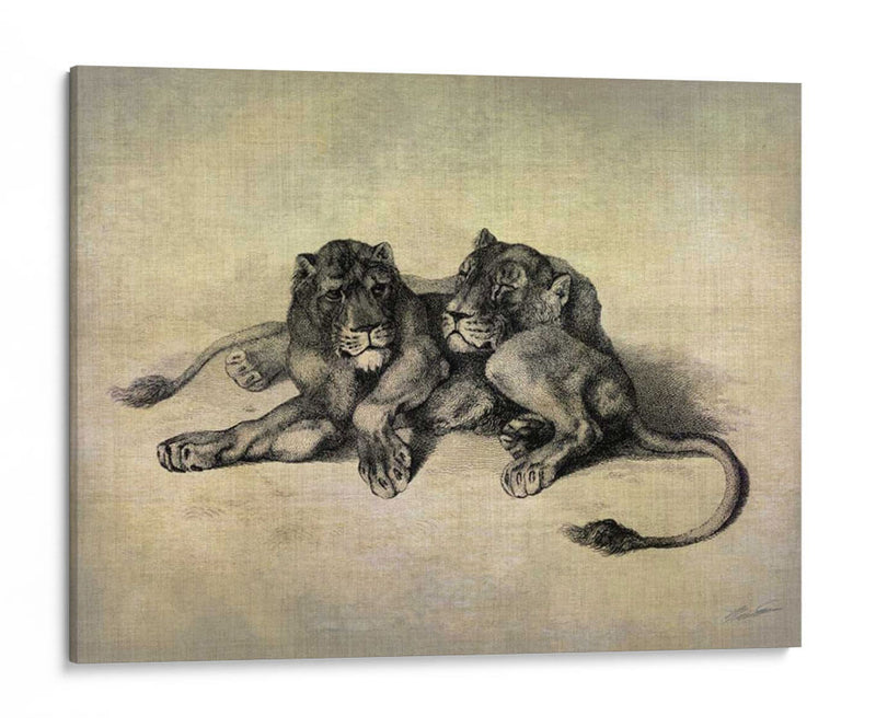 Gatos Grandes Iii - John Butler | Cuadro decorativo de Canvas Lab