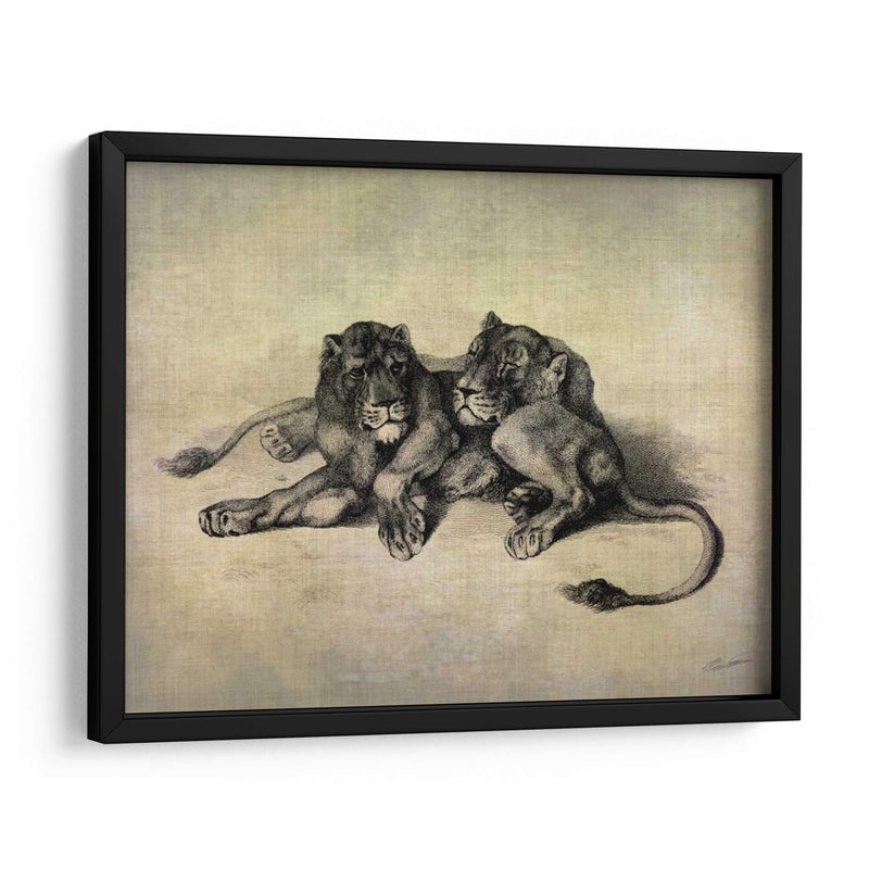 Gatos Grandes Iii - John Butler | Cuadro decorativo de Canvas Lab