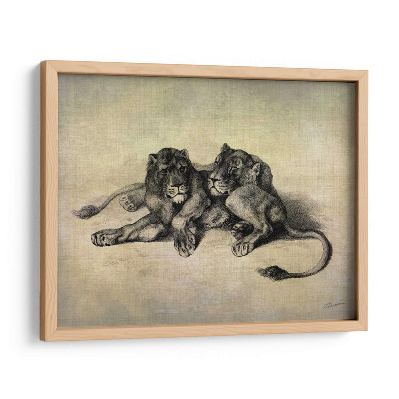 Gatos Grandes Iii - John Butler | Cuadro decorativo de Canvas Lab