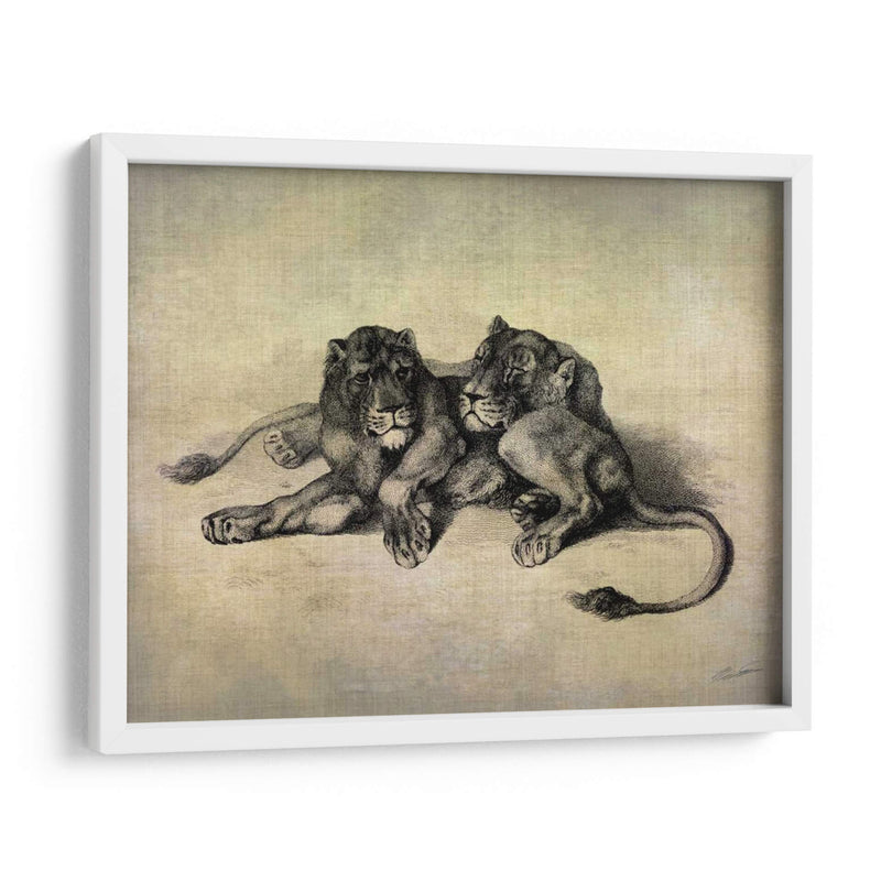 Gatos Grandes Iii - John Butler | Cuadro decorativo de Canvas Lab