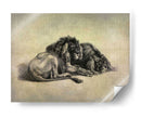 Gatos Grandes Iv - John Butler | Cuadro decorativo de Canvas Lab
