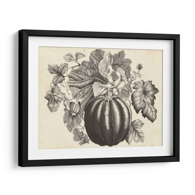 Sepia Squash I - Naomi McCavitt | Cuadro decorativo de Canvas Lab