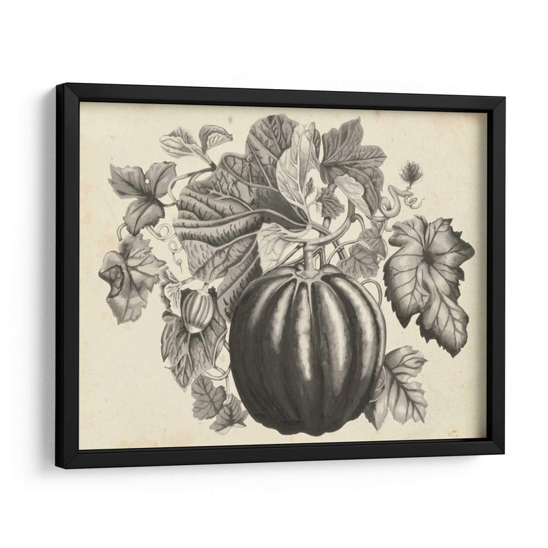 Sepia Squash I - Naomi McCavitt | Cuadro decorativo de Canvas Lab