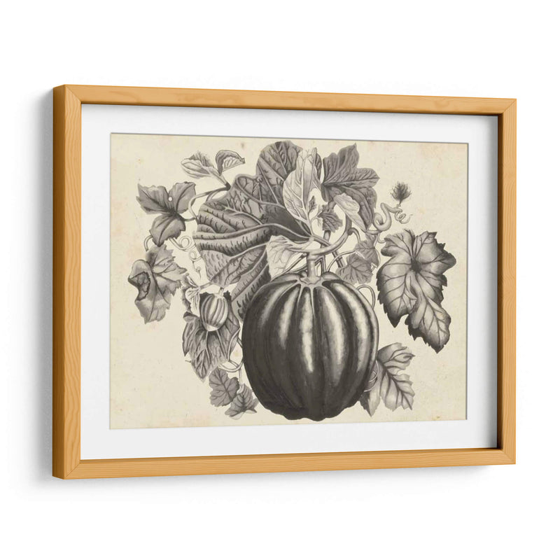 Sepia Squash I - Naomi McCavitt | Cuadro decorativo de Canvas Lab