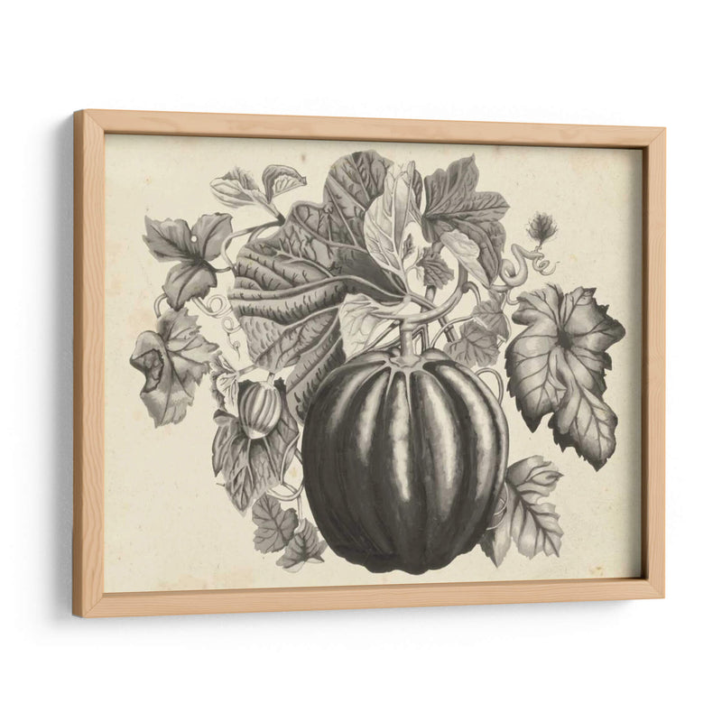 Sepia Squash I - Naomi McCavitt | Cuadro decorativo de Canvas Lab