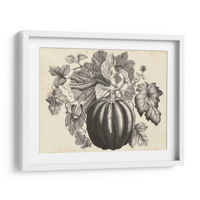 Sepia Squash I - Naomi McCavitt | Cuadro decorativo de Canvas Lab