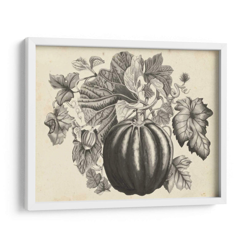 Sepia Squash I - Naomi McCavitt | Cuadro decorativo de Canvas Lab