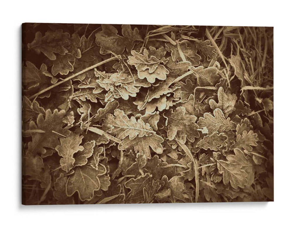 Hojas De Otoño - Lillian Bell | Cuadro decorativo de Canvas Lab
