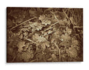 Hojas De Otoño - Lillian Bell | Cuadro decorativo de Canvas Lab