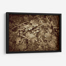 Hojas De Otoño - Lillian Bell | Cuadro decorativo de Canvas Lab