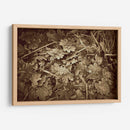 Hojas De Otoño - Lillian Bell | Cuadro decorativo de Canvas Lab