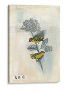 Después Del Vuelo Ii - Naomi McCavitt | Cuadro decorativo de Canvas Lab