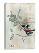 Después Del Vuelo Iii - Naomi McCavitt | Cuadro decorativo de Canvas Lab