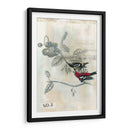 Después Del Vuelo Iii - Naomi McCavitt | Cuadro decorativo de Canvas Lab