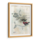 Después Del Vuelo Iii - Naomi McCavitt | Cuadro decorativo de Canvas Lab