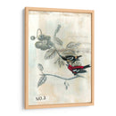 Después Del Vuelo Iii - Naomi McCavitt | Cuadro decorativo de Canvas Lab