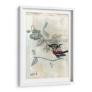 Después Del Vuelo Iii - Naomi McCavitt | Cuadro decorativo de Canvas Lab