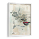 Después Del Vuelo Iii - Naomi McCavitt | Cuadro decorativo de Canvas Lab