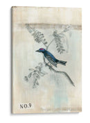 Despues De Vuelo Iv - Naomi McCavitt | Cuadro decorativo de Canvas Lab