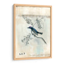 Despues De Vuelo Iv - Naomi McCavitt | Cuadro decorativo de Canvas Lab