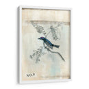 Despues De Vuelo Iv - Naomi McCavitt | Cuadro decorativo de Canvas Lab