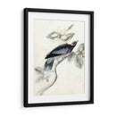 Aviario Rústico I - Naomi McCavitt | Cuadro decorativo de Canvas Lab