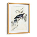 Aviario Rústico I - Naomi McCavitt | Cuadro decorativo de Canvas Lab