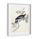 Aviario Rústico I - Naomi McCavitt | Cuadro decorativo de Canvas Lab