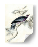 Aviario Rústico I - Naomi McCavitt | Cuadro decorativo de Canvas Lab