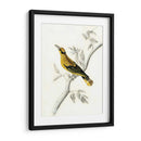 Aviario Rústico Ii - Naomi McCavitt | Cuadro decorativo de Canvas Lab