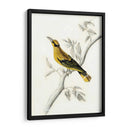 Aviario Rústico Ii - Naomi McCavitt | Cuadro decorativo de Canvas Lab