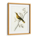 Aviario Rústico Ii - Naomi McCavitt | Cuadro decorativo de Canvas Lab